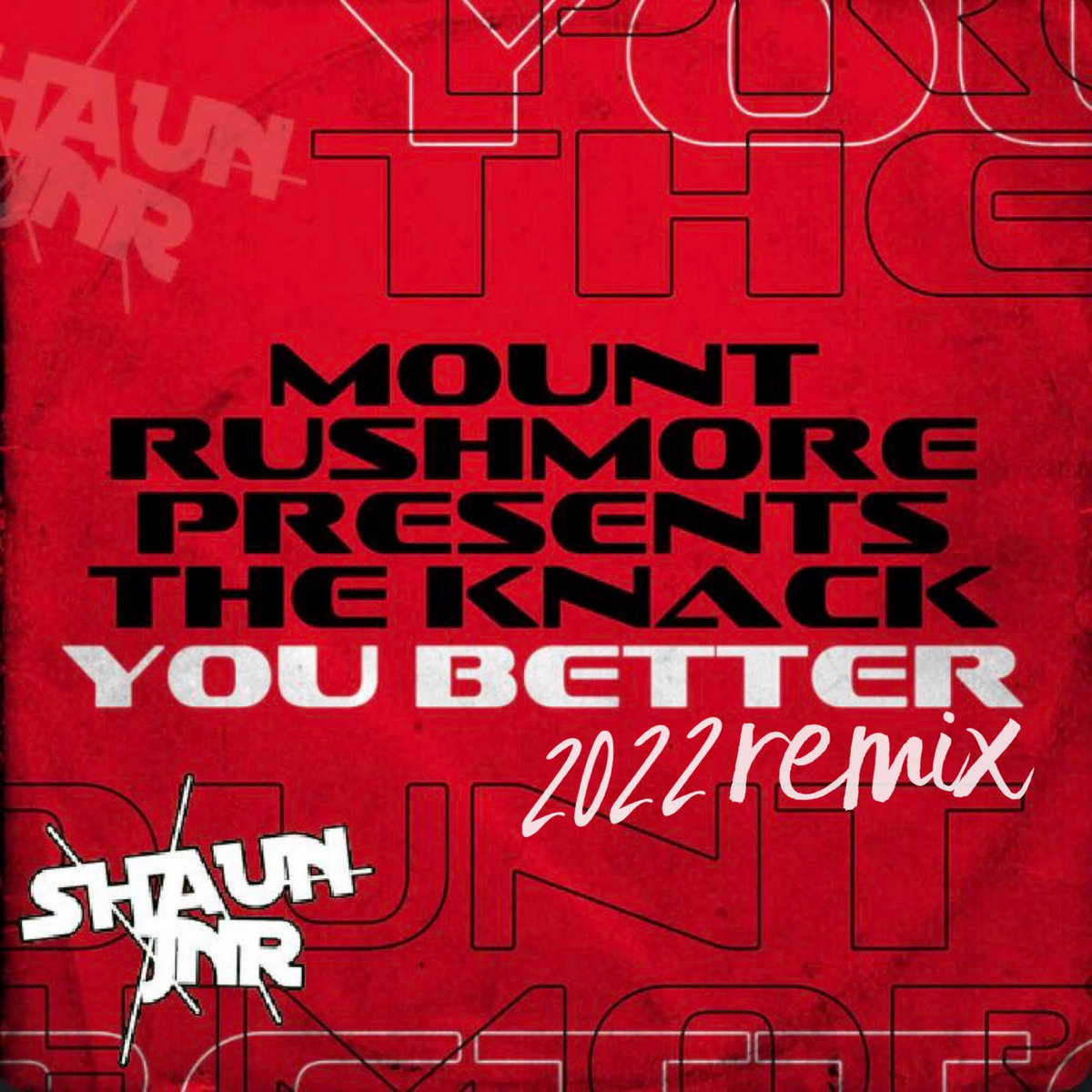 Mount Rushmore - You Better ( Shaun Jnr Remix )