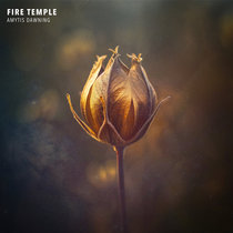 Amytis Dawning cover art