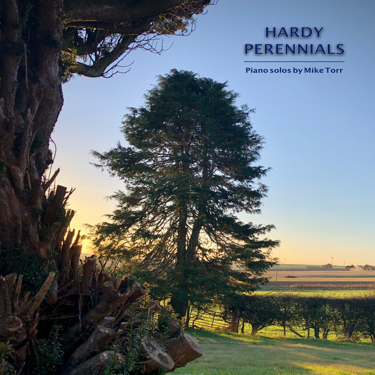 Hardy Perennials