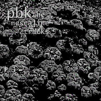 Music Pbk