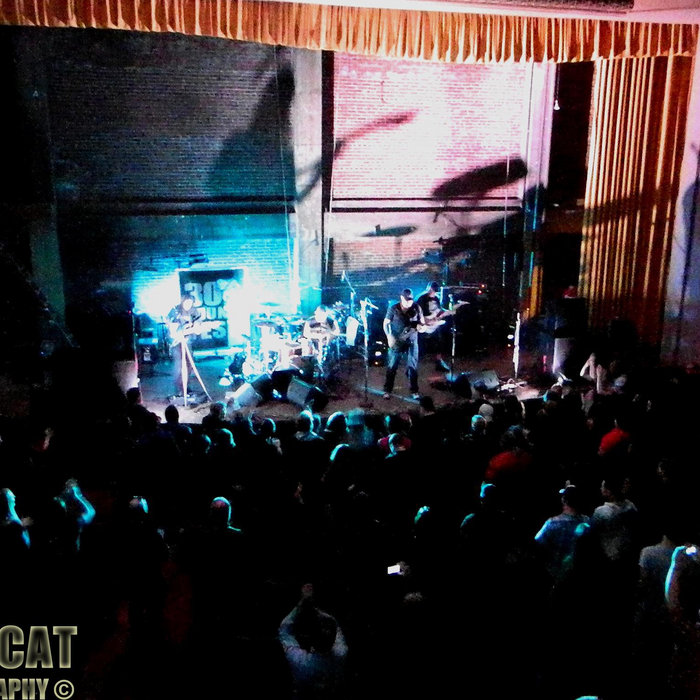 MTV Unplugged visual data 2