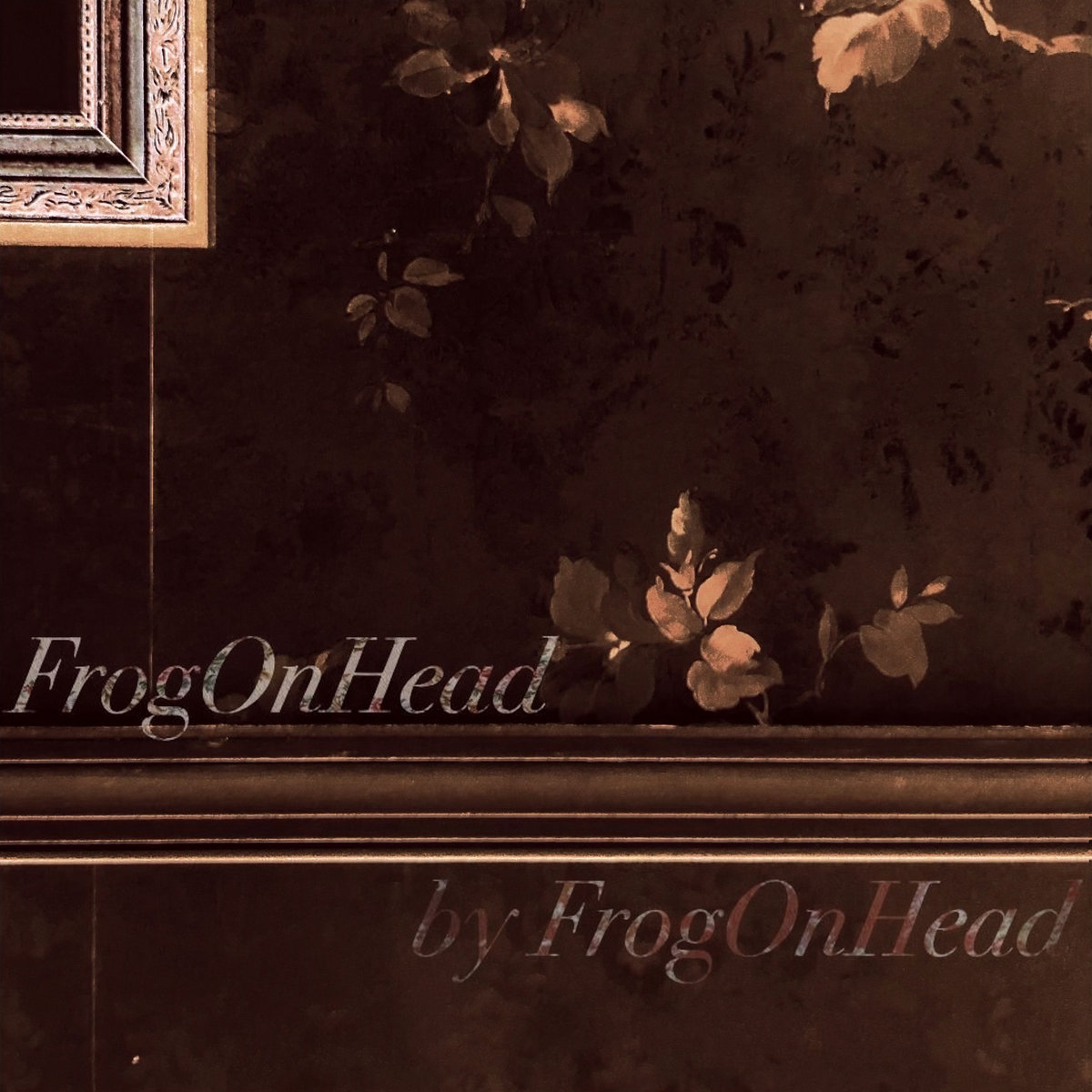 FrogOnHead By FrogOnHead