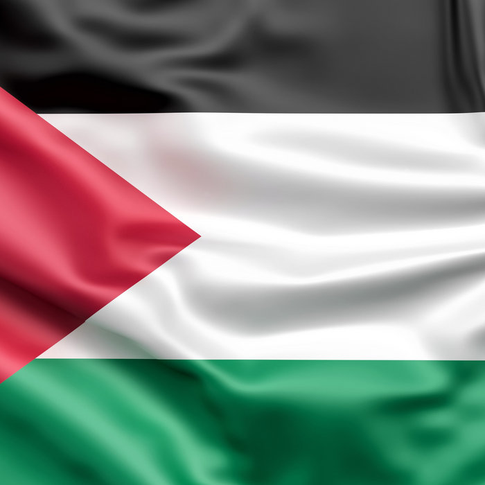 Free Free Palestine | Free Palestine