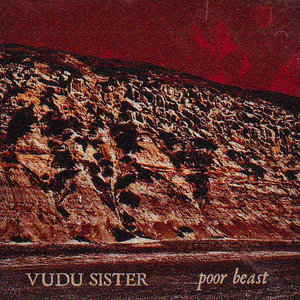Poor Beast cover