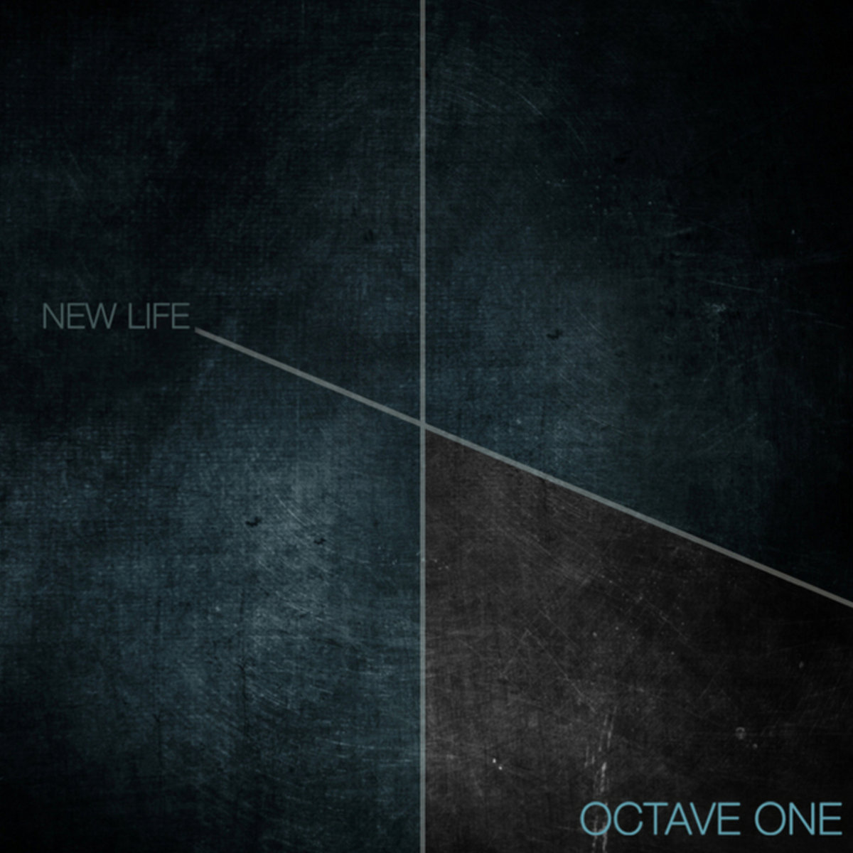 New Life (Remixes) | Octave One