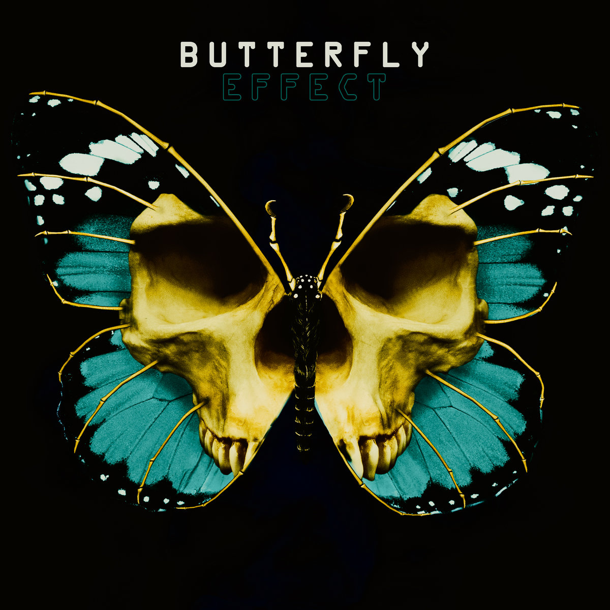 Zoom At Noon | Butterfly Effect