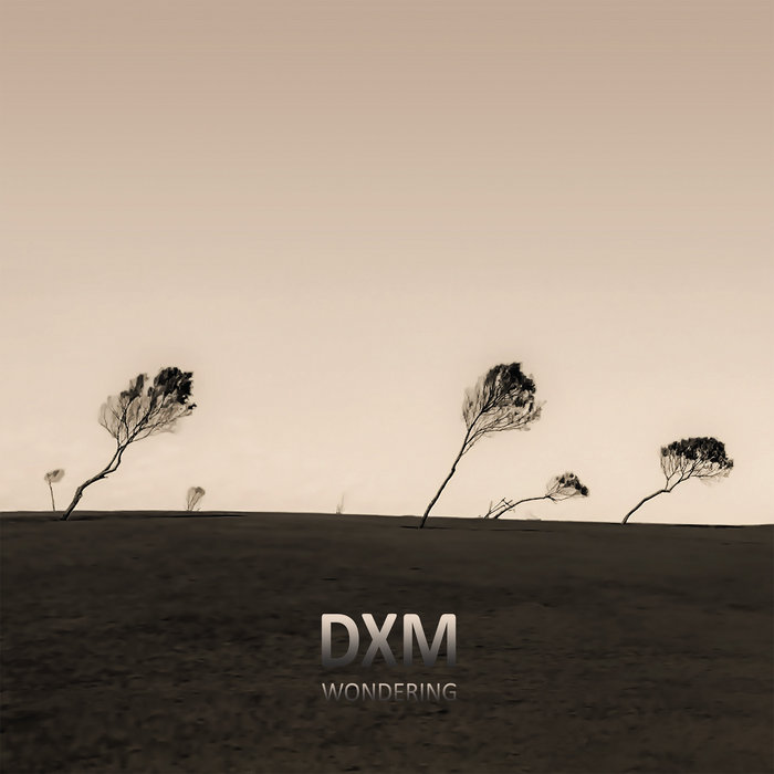 Pochette de Wondering par DXM