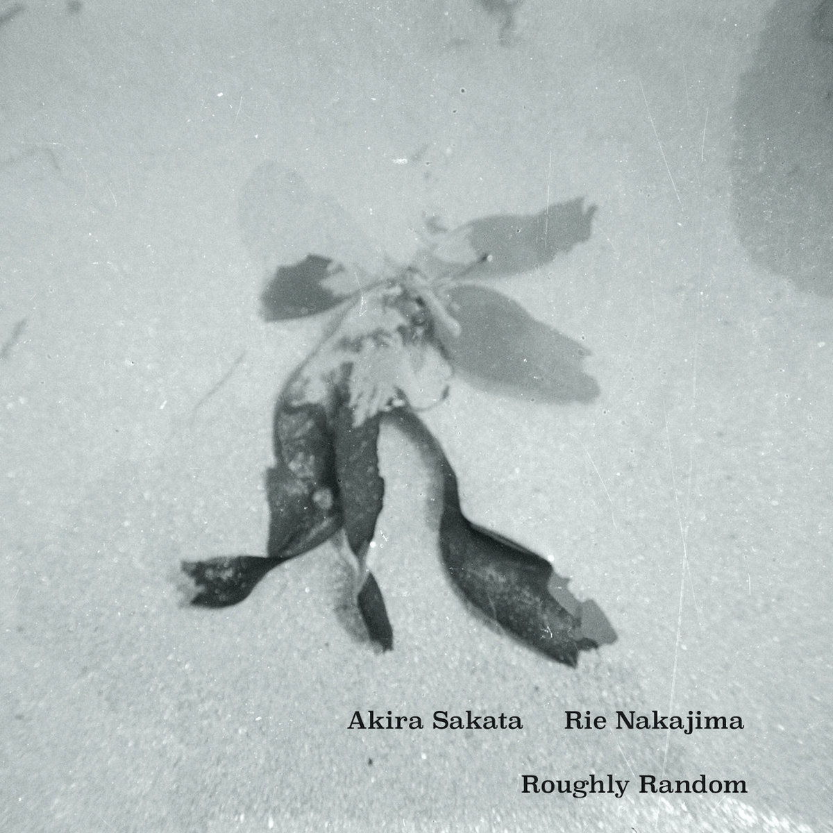 THE NEWSPAPER 魚雷 デモアルバム Roughly Random | Akira Sakata Rie Nakajima / 坂田明 中島吏英 | Rie