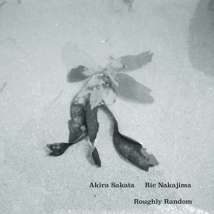 Roughly Random | Akira Sakata Rie Nakajima / 坂田明 中島吏英 | Rie