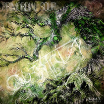 Primordial Soup cover art