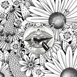 Tour DiariesVarious Artists cover
