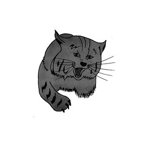 BOBKAT demo cover
