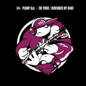 The Push / Remember My Name cover