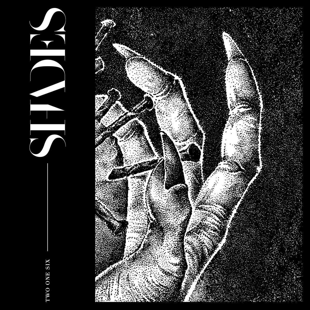 Two One Six | SHADES