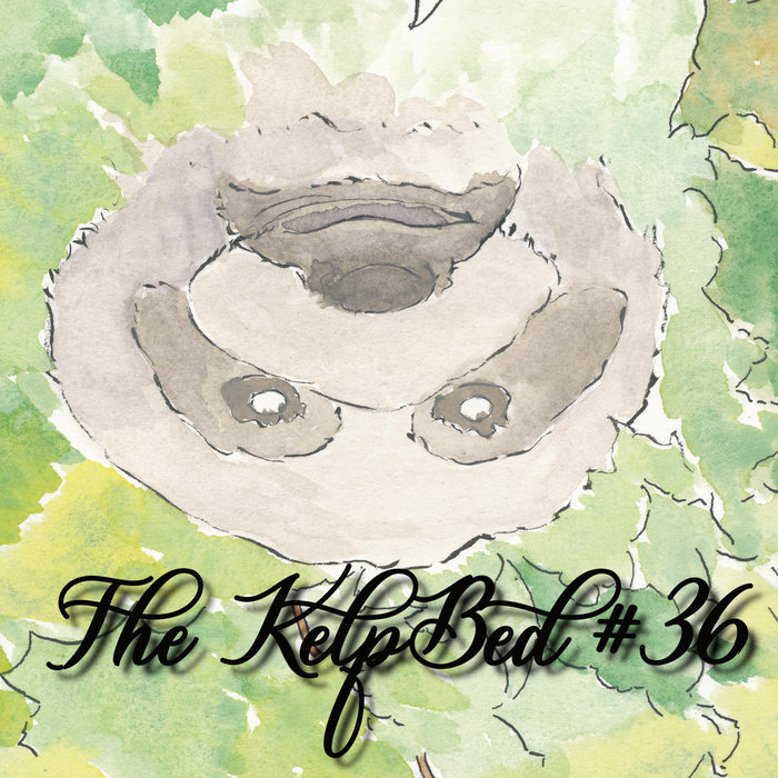 The Kelp Bed 36 The Kelp Bed