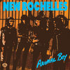 New Rochelles - Animal Boy
