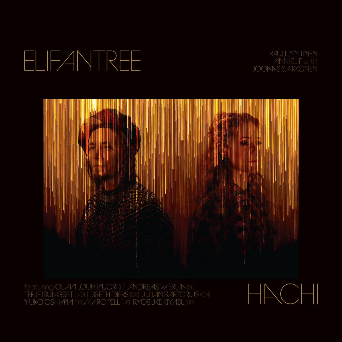Hachi | Elifantree