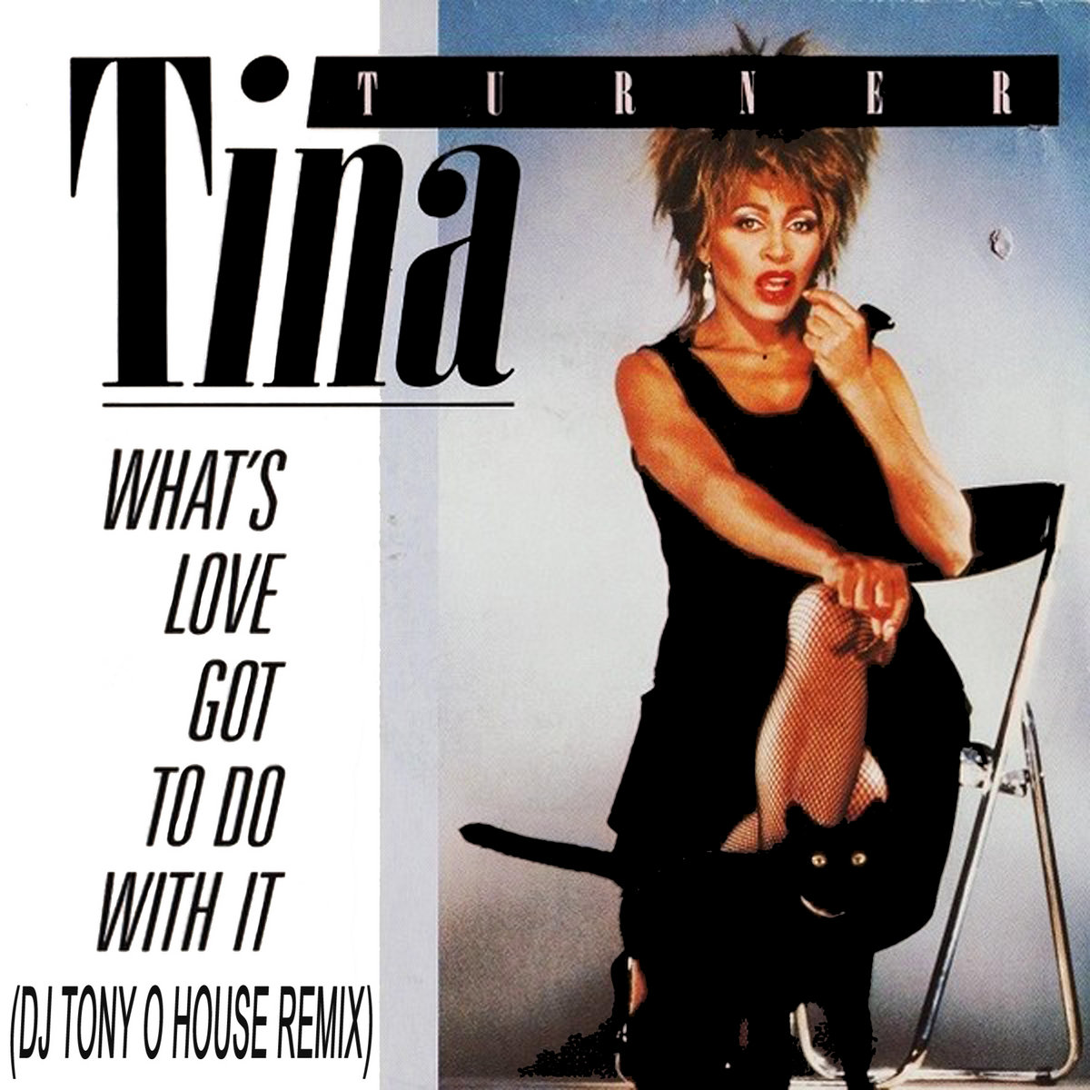 TINA TURNER What's love got to do with it (Dj Tony O House Remix