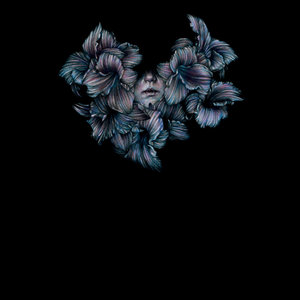 A Lot Like Birds — DIVISI