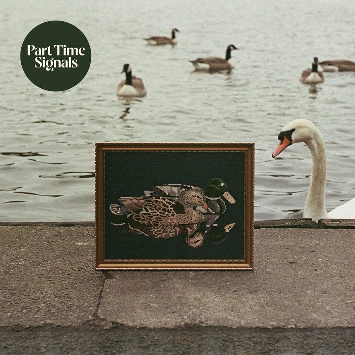 Pochette de Duck's Back, Baby par Part Time Signals