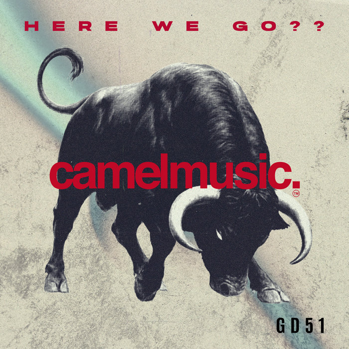 Here We Go?? | GD51 | CamelMusic Records™