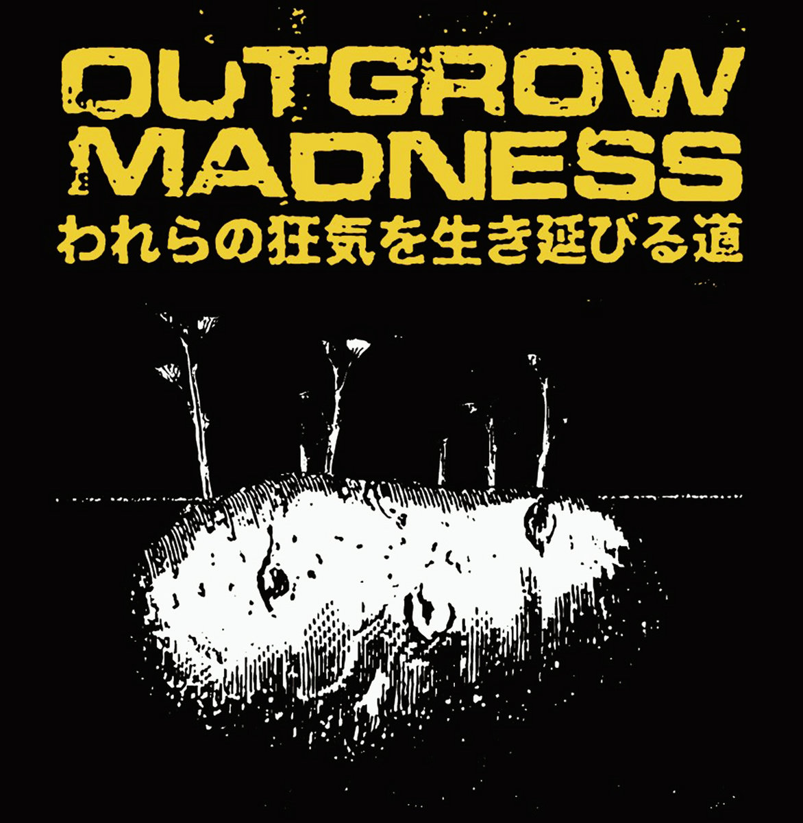 Outgrow Madness - To Outgrow Our Madness | Coxinha Records