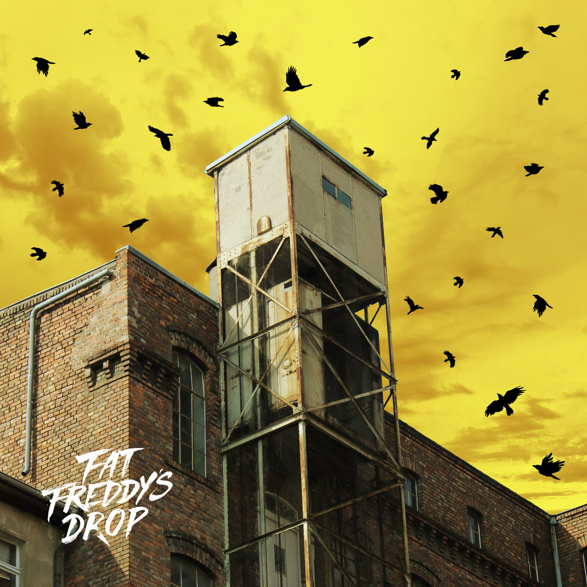 FAT FREDDY’S DROP - BLACK BIRD 2枚組 Fat Freddy's Drop Blackbird Album Blackbird - YouTube