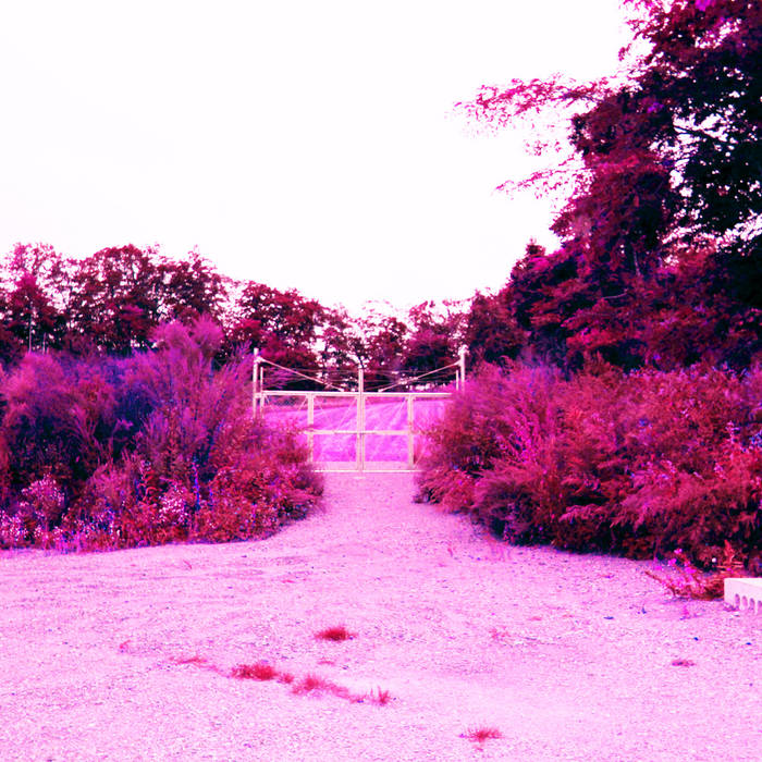 Jim O'rourke  ジムオルーク CD  Steamroom 5枚セット Amazon.co.jp: Jim O'rourke ジムオルーク CD Steamroom 5枚