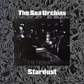 Music | SARAH RECORDS
