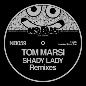 SHADY LADY REMIXES cover