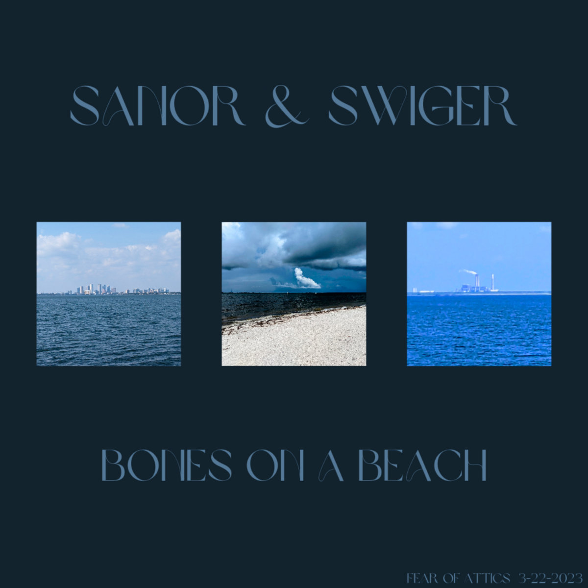 Bones on a Beach Sanor and Swiger (Fear of Attics) Fear of Attics
