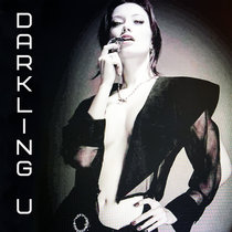 Darkling Universe cover art