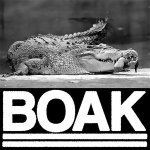 II cover