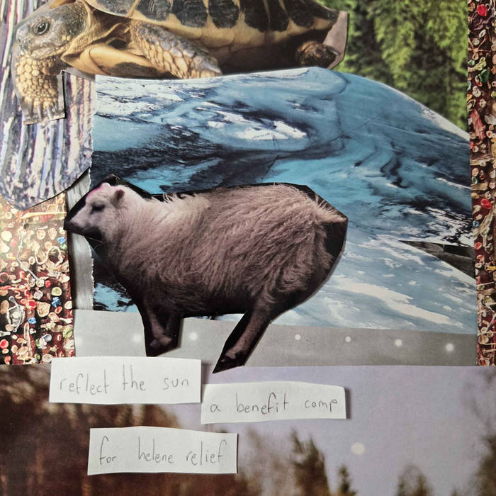 how to set a fire and why i don't care if i go blind reflect the sun