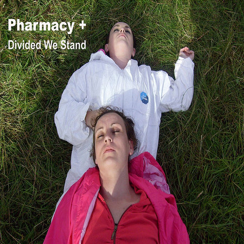 Divided We Stand cover