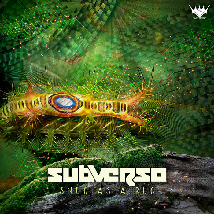 Subverso — Snug as a Bug