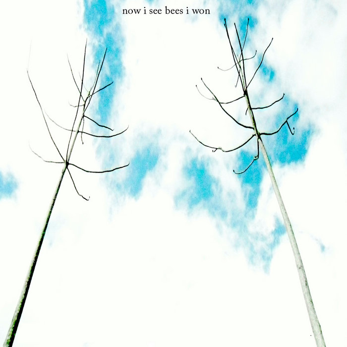 And The Kite Strings Caught In Telephone Wires now i see bees i won