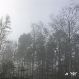 Ghost Fluorescence cover