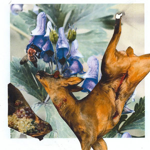 Uncertain — Wolfsbane