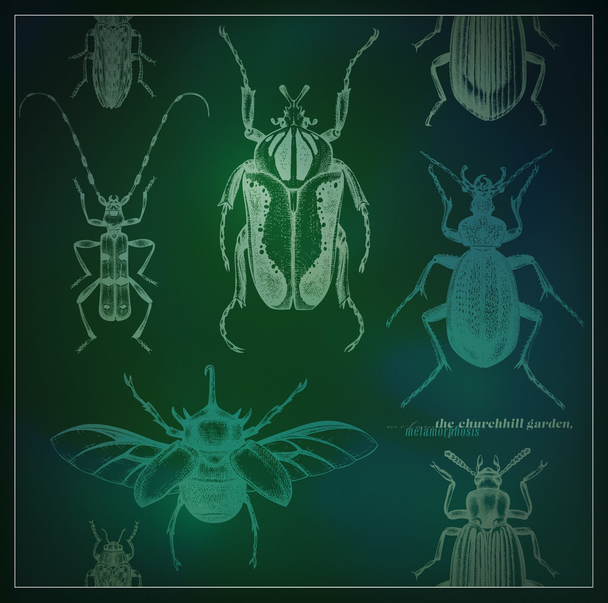 metamorphosis (collection 2023) by the churchhill garden