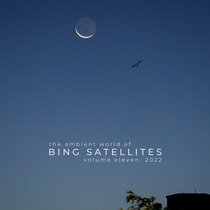 The ambient world of Bing Satellites, volume eleven: 2022 cover art