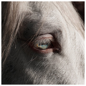 Album artwork for SIGNAL