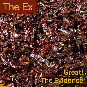 Great! / The Evidence cover
