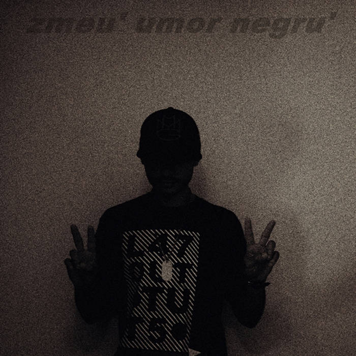 zmeu ninja parca ieri