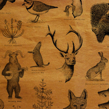 Ursus Oreamnos Americanus