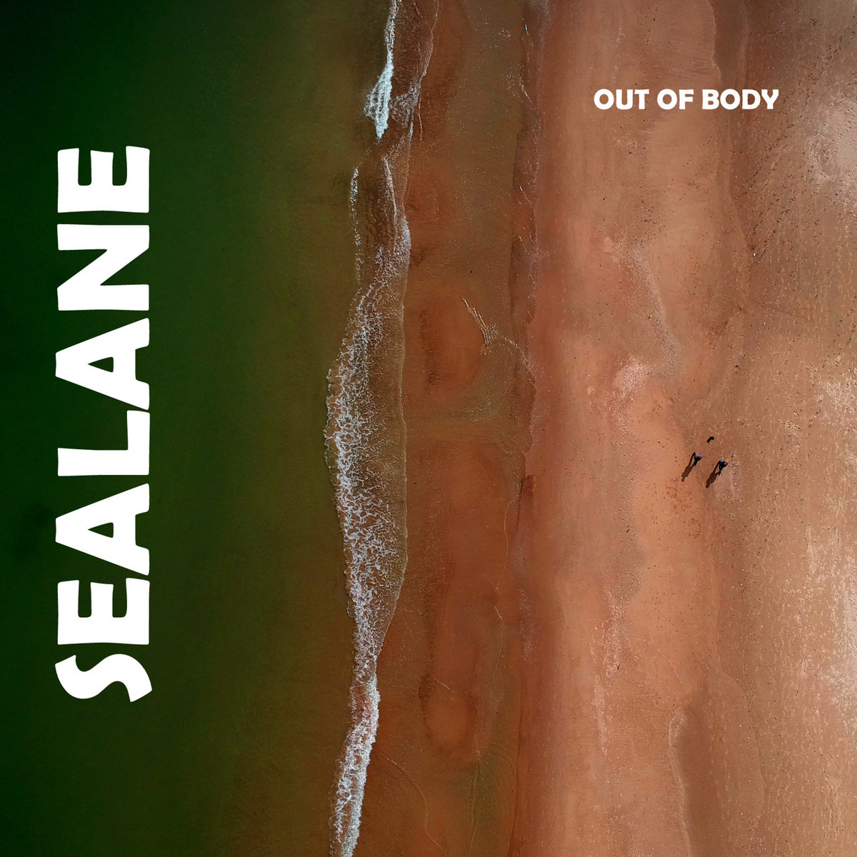 Out of body cover