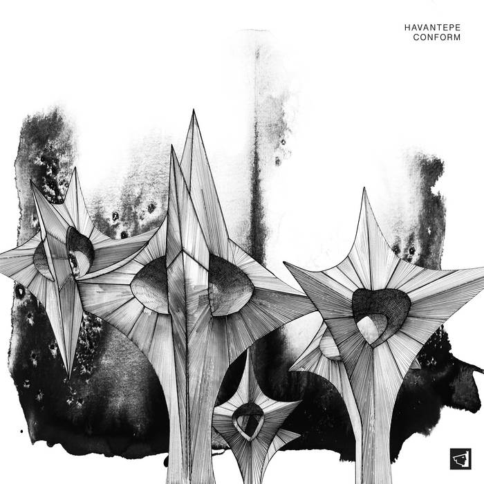 Havantepe - Converge di Berg Audio