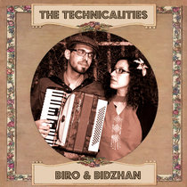 The Technicalities project artwork