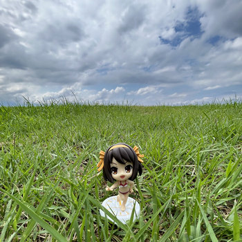 NISHINOMIYA NORTH HIGH SCHOOL GIRL DISTORTIONAL ADDICT