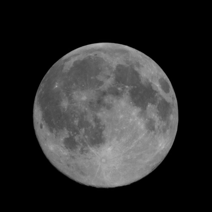 White Moon — Photo